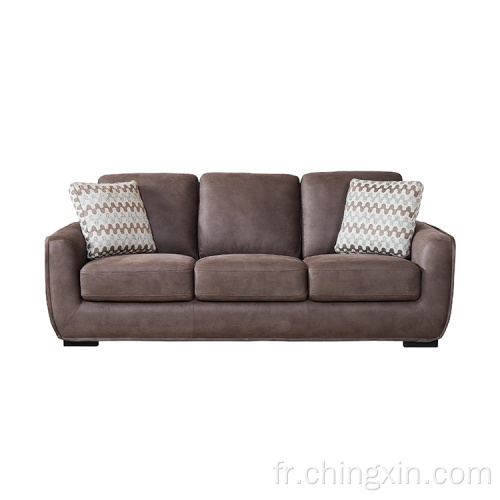 Le canapé sectionnel définit des meubles de canapé de salon à trois places